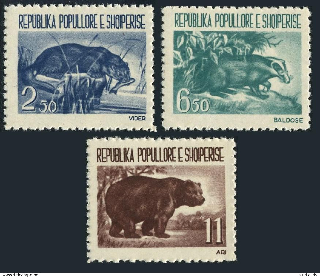 Albania 589-591,MNH.Michel 627-629. Animals 1961.Otter,Badger,Bear. - Albania