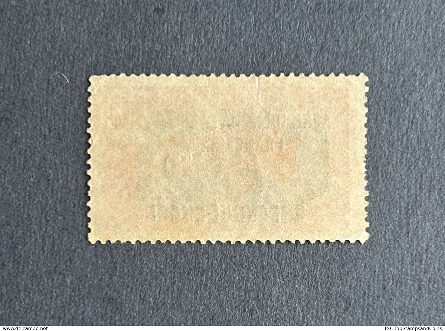 FRAOUB063U - Leopard - Overprinted AEF - Oubangui-Chari - 10 C Used Stamp - Oubangui-Chari - 1925 - Gebruikt