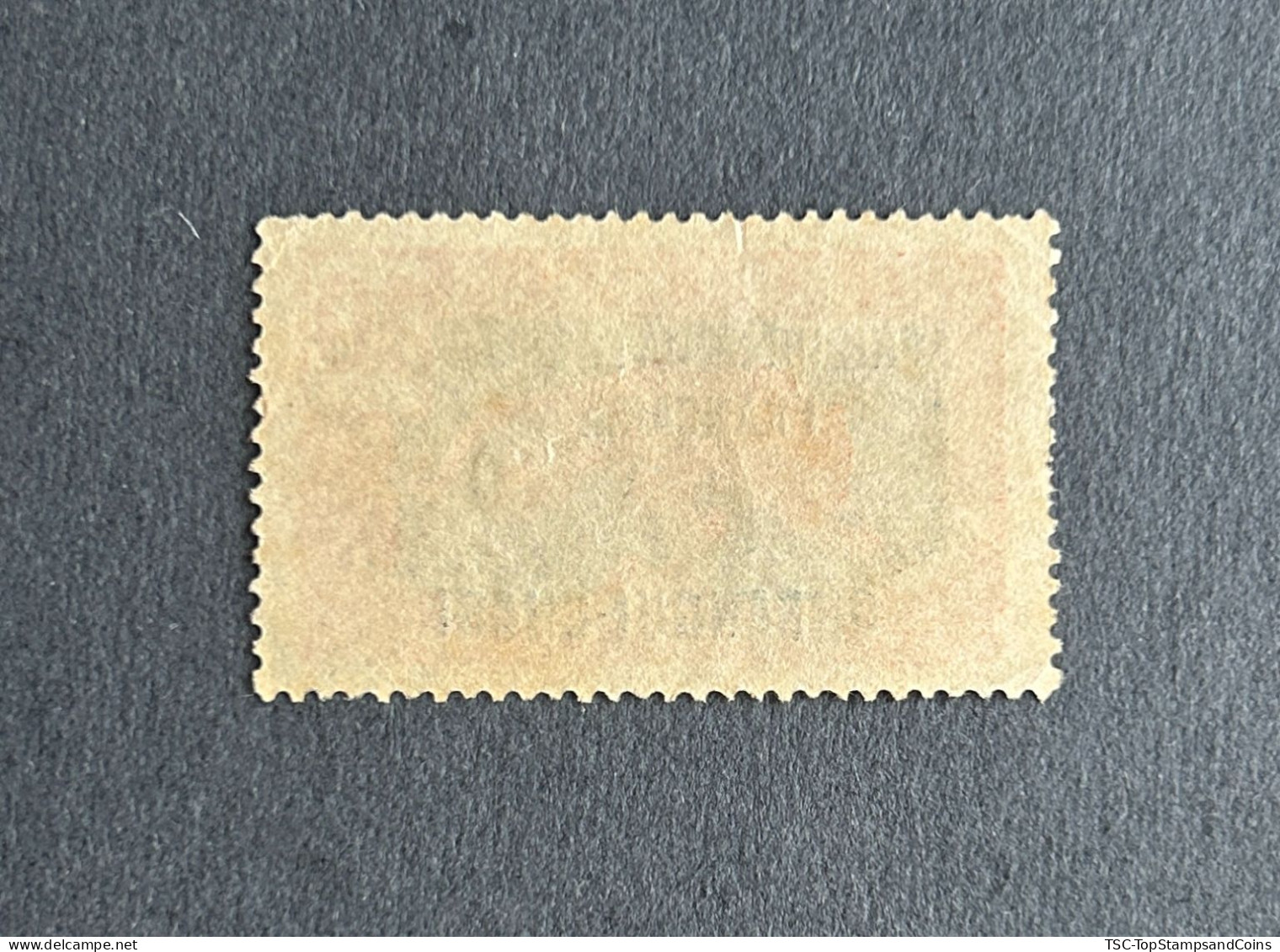 FRAOUB063U - Leopard - Overprinted AEF - Oubangui-Chari - 10 C Used Stamp - Oubangui-Chari - 1925 - Oblitérés