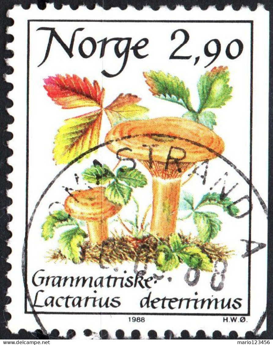 NORVEGIA, NORWAY, FLORA, FUNGHI, 1988, USATI Mi:NO 991, Scott:NO 887, Yt:NO 947 - Usados