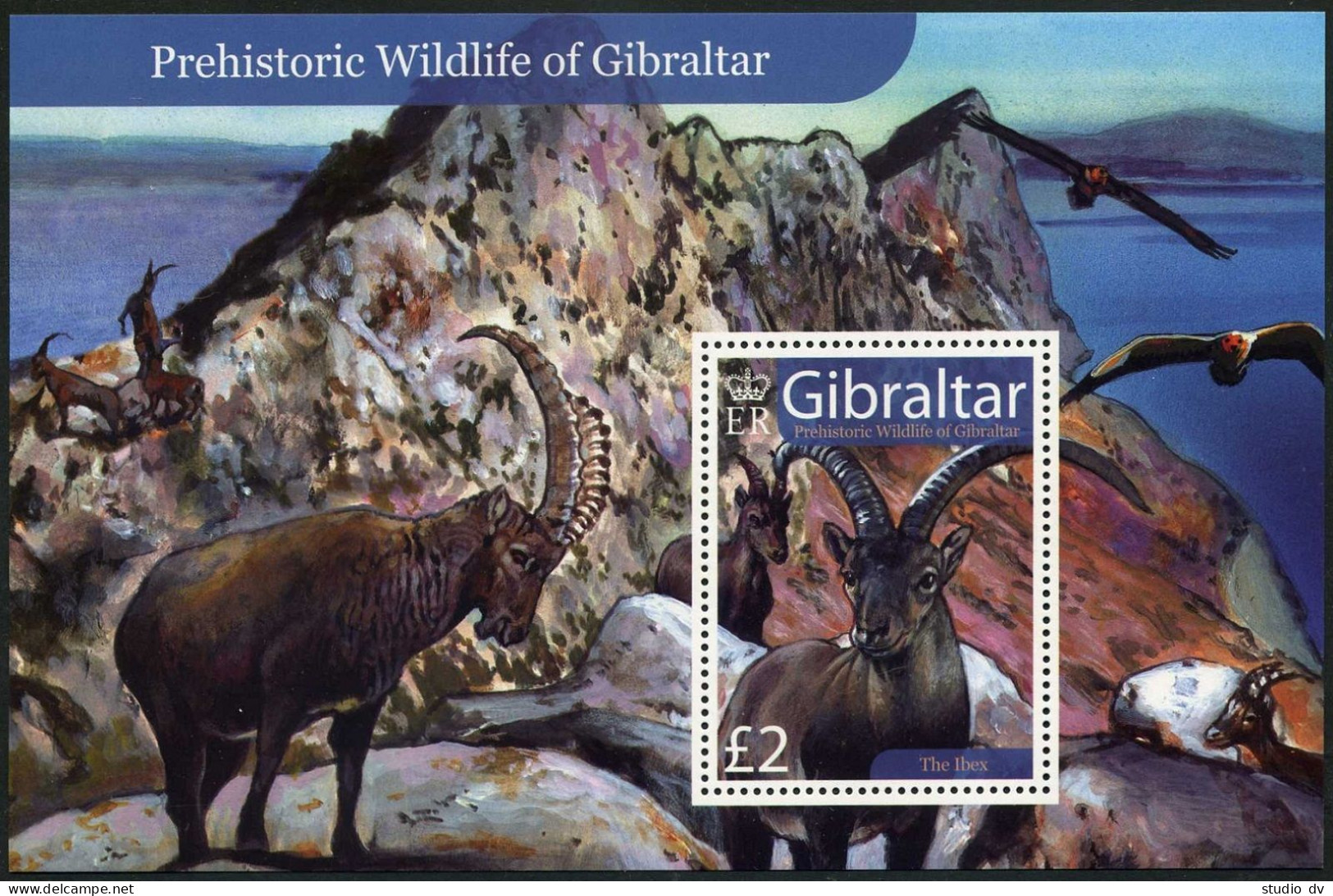 Gibraltar 1098-1102,1103,MNH. Prehistoric Wildlife,2007.Bears,Owl,Eagle,Ibex. - Gibraltar