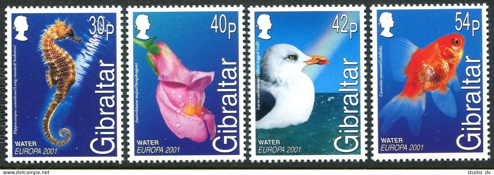 Gibraltar 871-874,MNH. EUROPE CEPT-2001.Marine Life:Seahorse,Gull,Goldfish. - Gibilterra