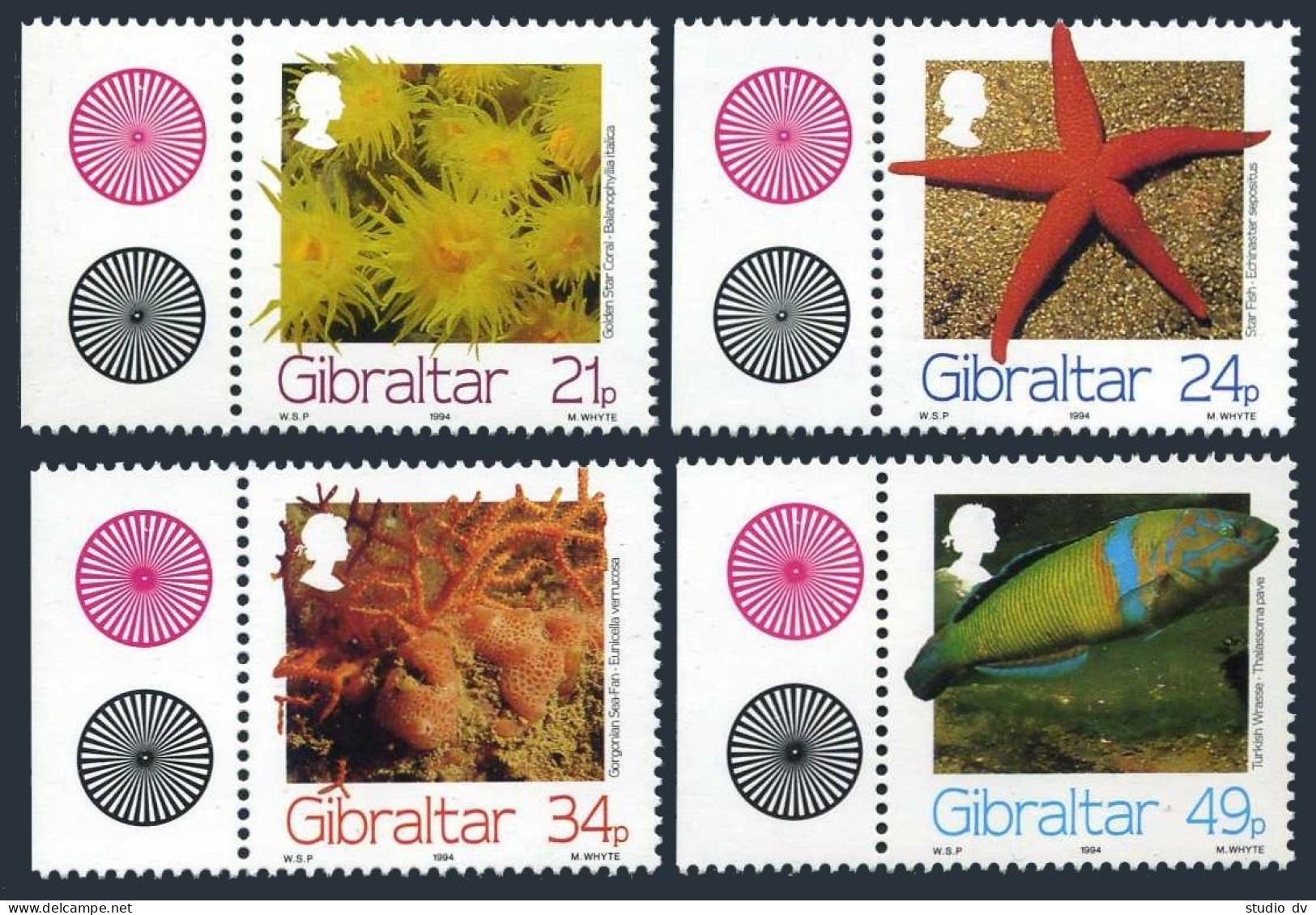 Gibraltar 662-665,MNH.Mi 696-699. Marine Life,1994.Golden Star Coral,Sea Pan, - Gibilterra
