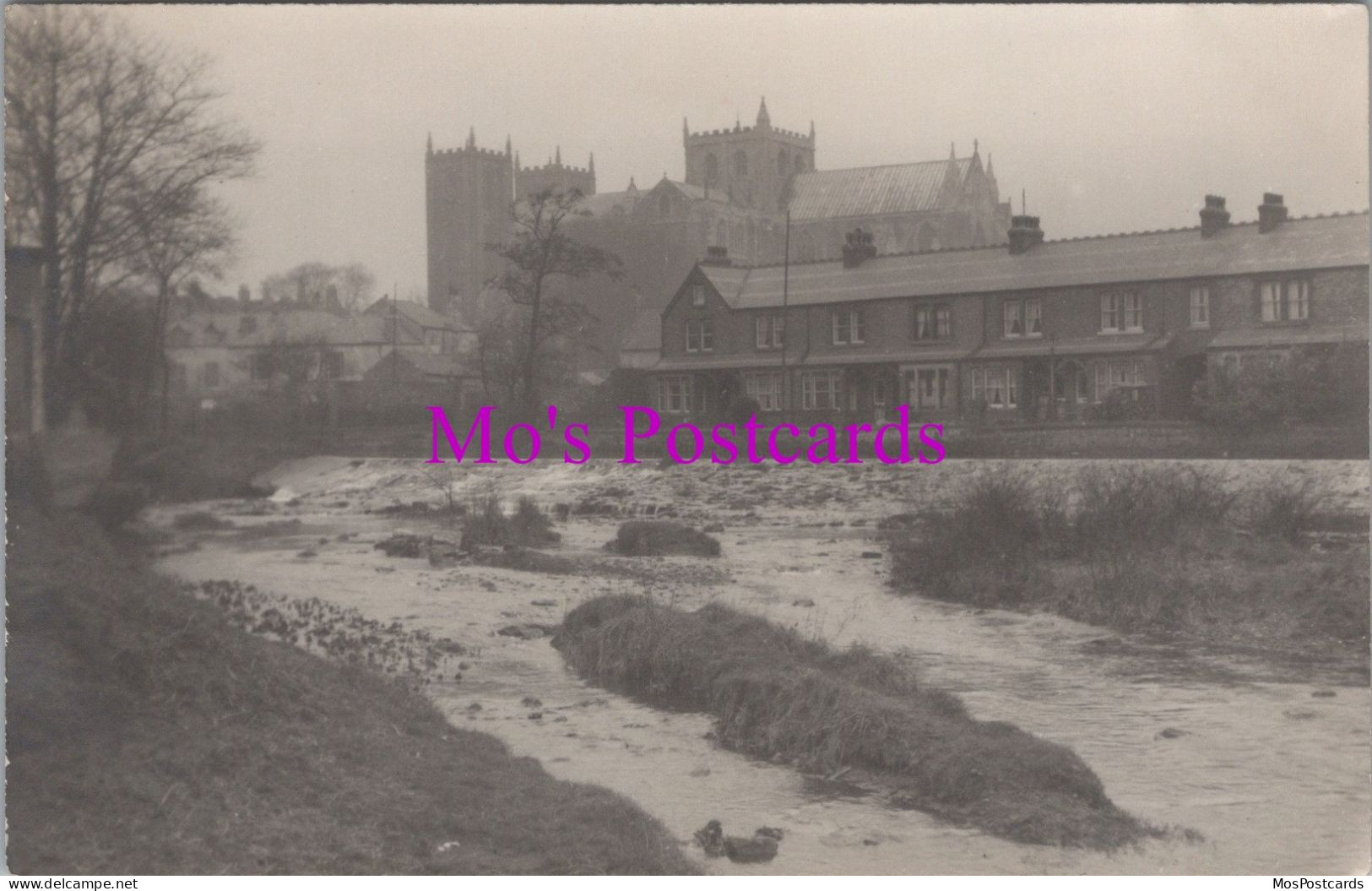 Yorkshire Postcard - The River Skell And Ripon Cathedral  DZ176 - Autres & Non Classés