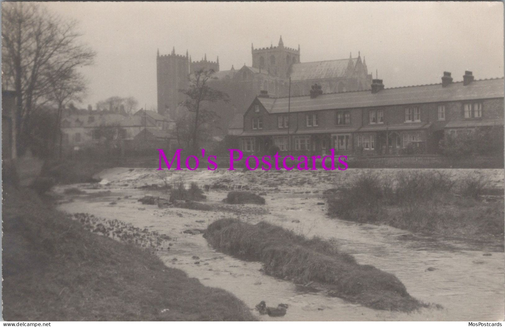 Yorkshire Postcard - The River Skell And Ripon Cathedral  DZ176 - Andere & Zonder Classificatie