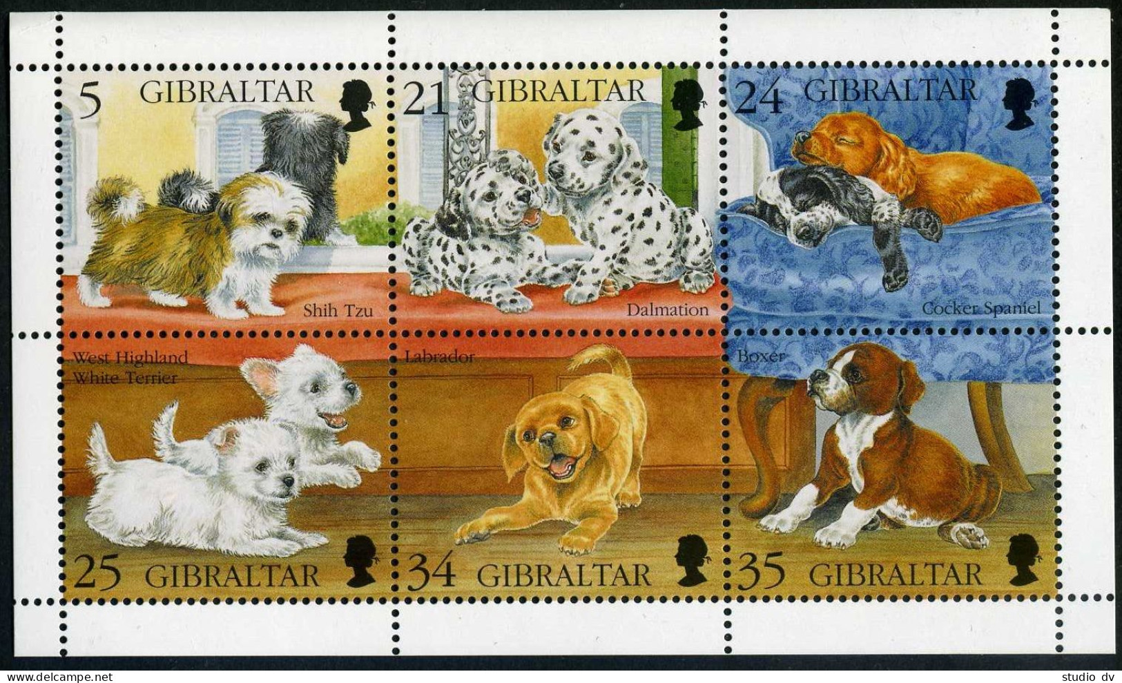 Gibraltar 702 Af Sheet,MNH.Mi 749-754 Klb. Puppies 1996.Shih Tzu,Dalmatian,Boxer - Gibilterra