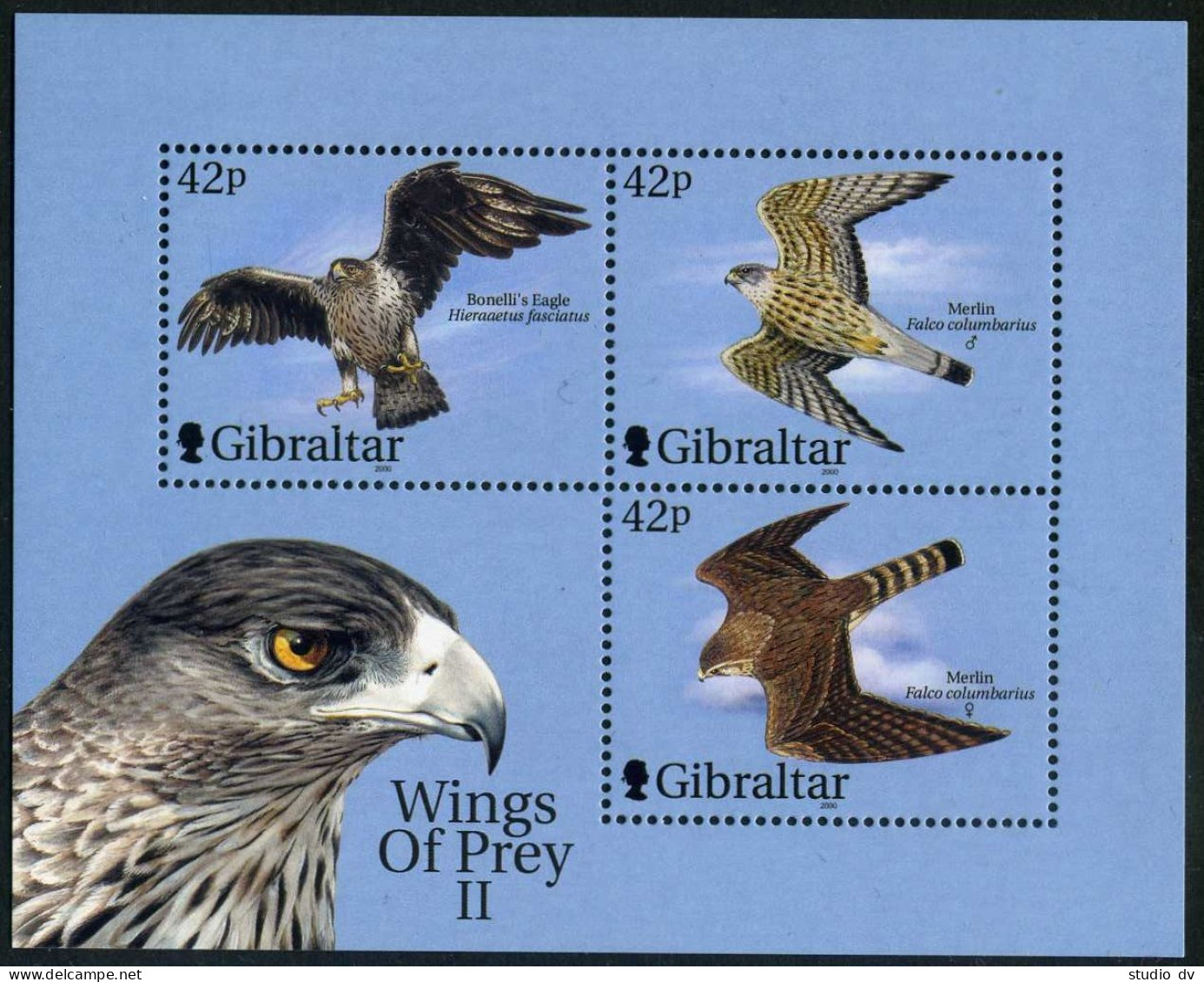 Gibraltar 851-853,853c,853d,MNH. Wings Of Prey 2000.Fighter Planes,Raptors. - Gibraltar