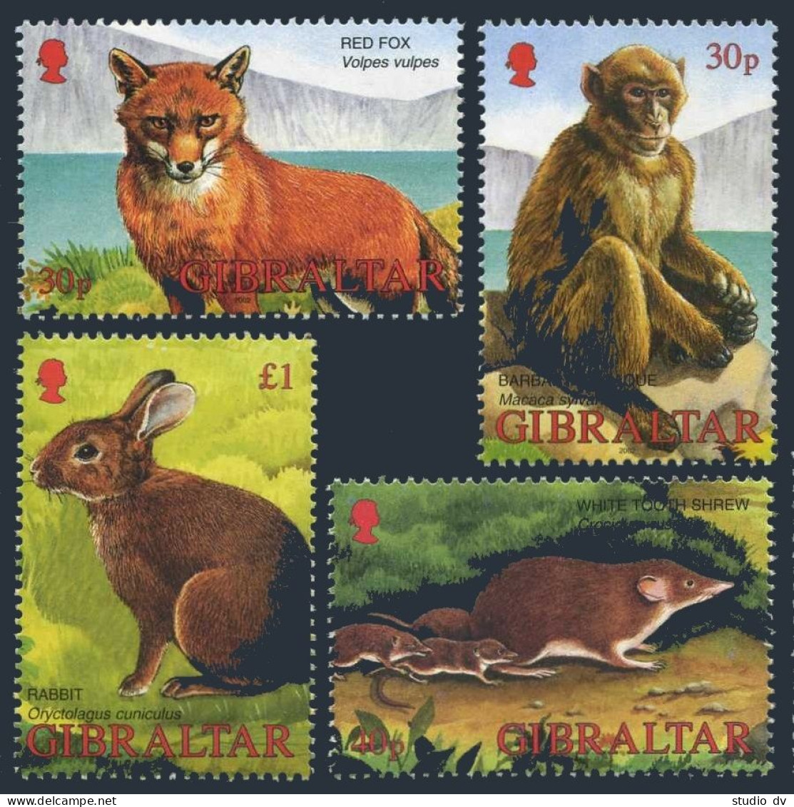 Gibraltar 909-912,912a Sheet,MNH. Wildlife 2002. Tooth Shrews,Macaque,Rabbit. - Gibraltar