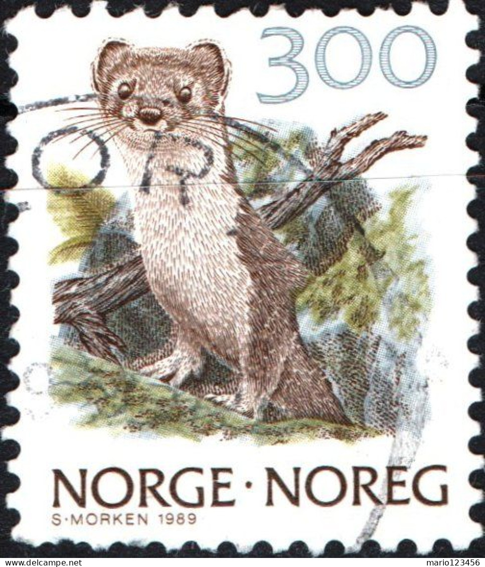 NORVEGIA, NORWAY, FAUNA, MAMMIFERI, 1989, USATI Mi:NO 1010, Scott:NO 880, Yt:NO 969 - Usados