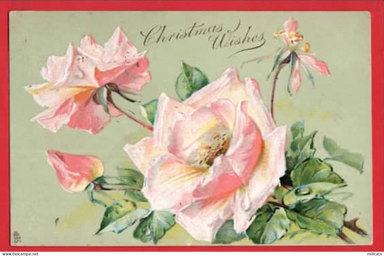 PINK AND WHITE ROSES   RAPHAEL TUCK CHRISTMAS SERIES  Pu 1906 - Tuck, Raphael