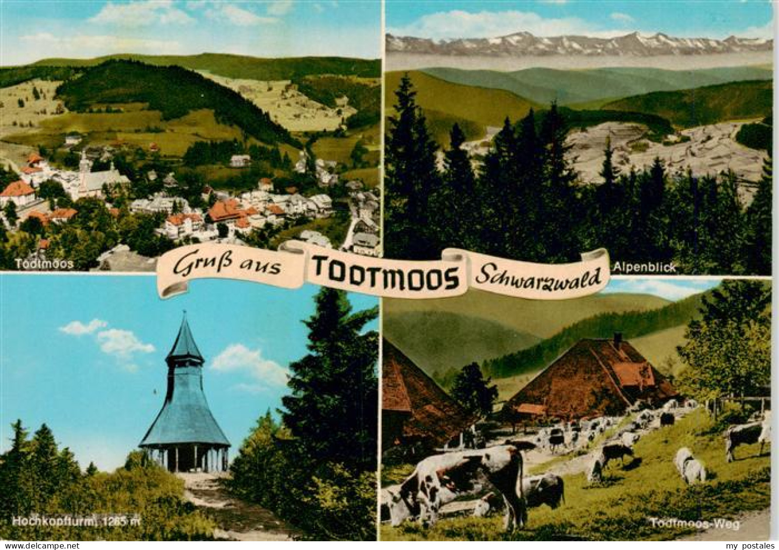 73927416 Todtmoos Panorama Alpenblick Hochkopfturm Todtmoos Weg - Todtmoos