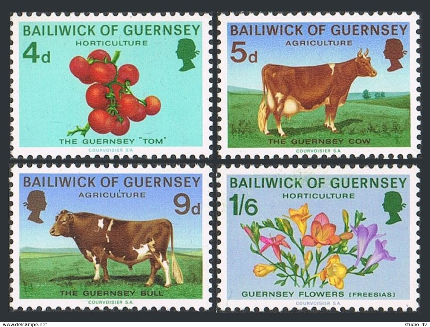 Guernsey 33-36,MNH.Michel 31-34. Agricultural,Horticultural 1970.Cow,Bull,Flower - Guernesey