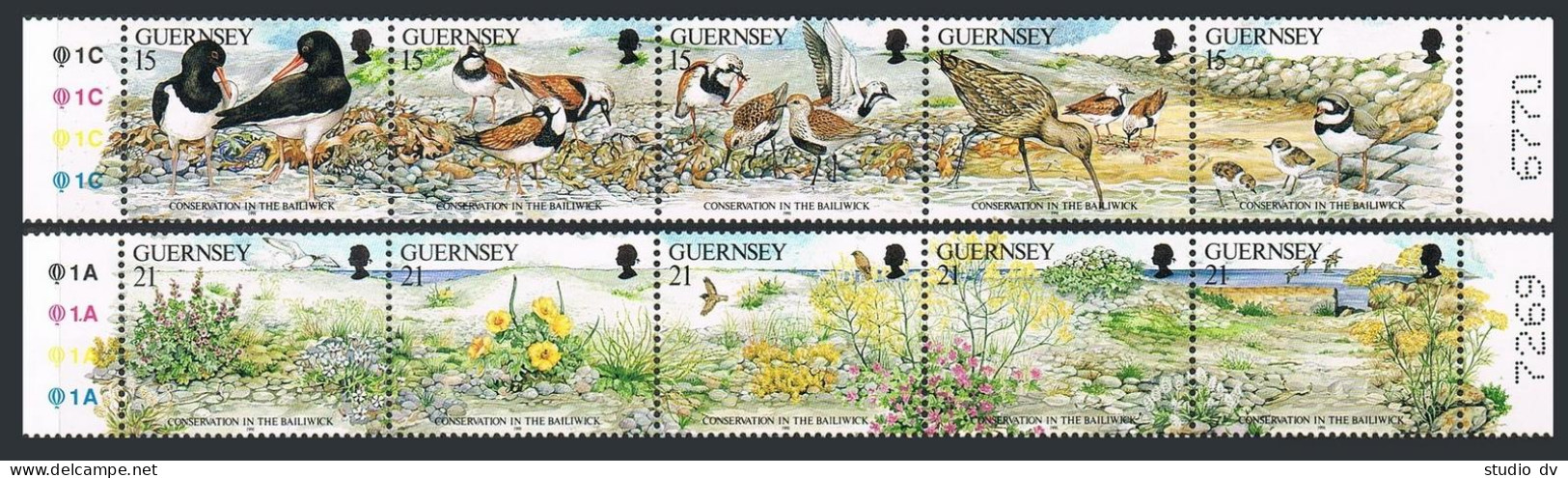 Guernsey 465-466 Two Strips, MNH. Mi 527-536. Birds 1991. Oyster Catchers;curlew - Guernsey