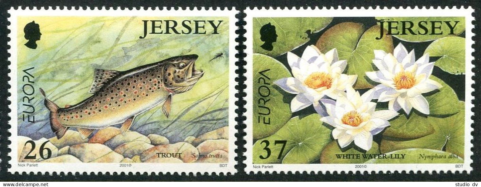 Jersey 990-991, MNH. Mi 961-962. EUROPE CEPT-2001. Pound Life. Trout, Lily. - Jersey