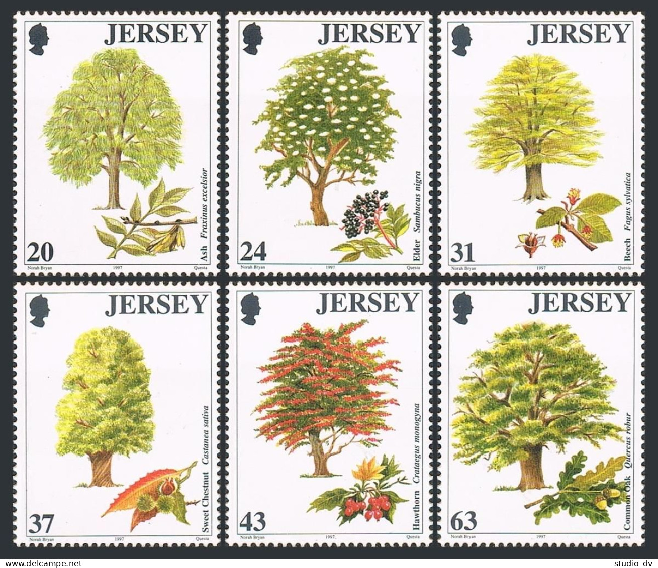 Jersey 812-817,MNH.Michel 793-798. Trees 1997.Ash,Elder,Beech,Sweet Chestnut,Oak - Jersey