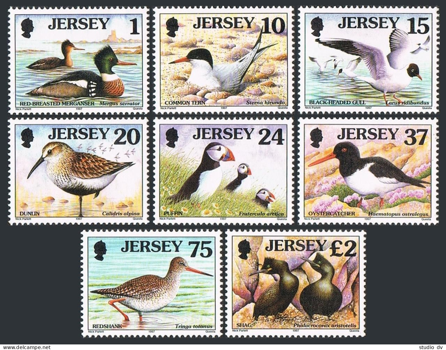 Jersey 778-785,MNH.Michel 765-772. Birds 1997.Merganser,Tern,Gull,Dunlin,Puffin, - Jersey