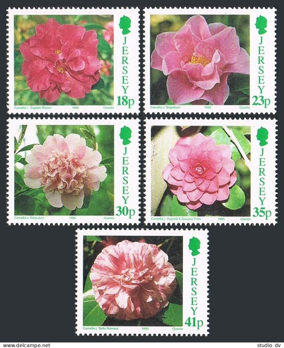 Jersey 703-707,MNH.Michel 688-692. Flowers 1995.Camellias. - Jersey
