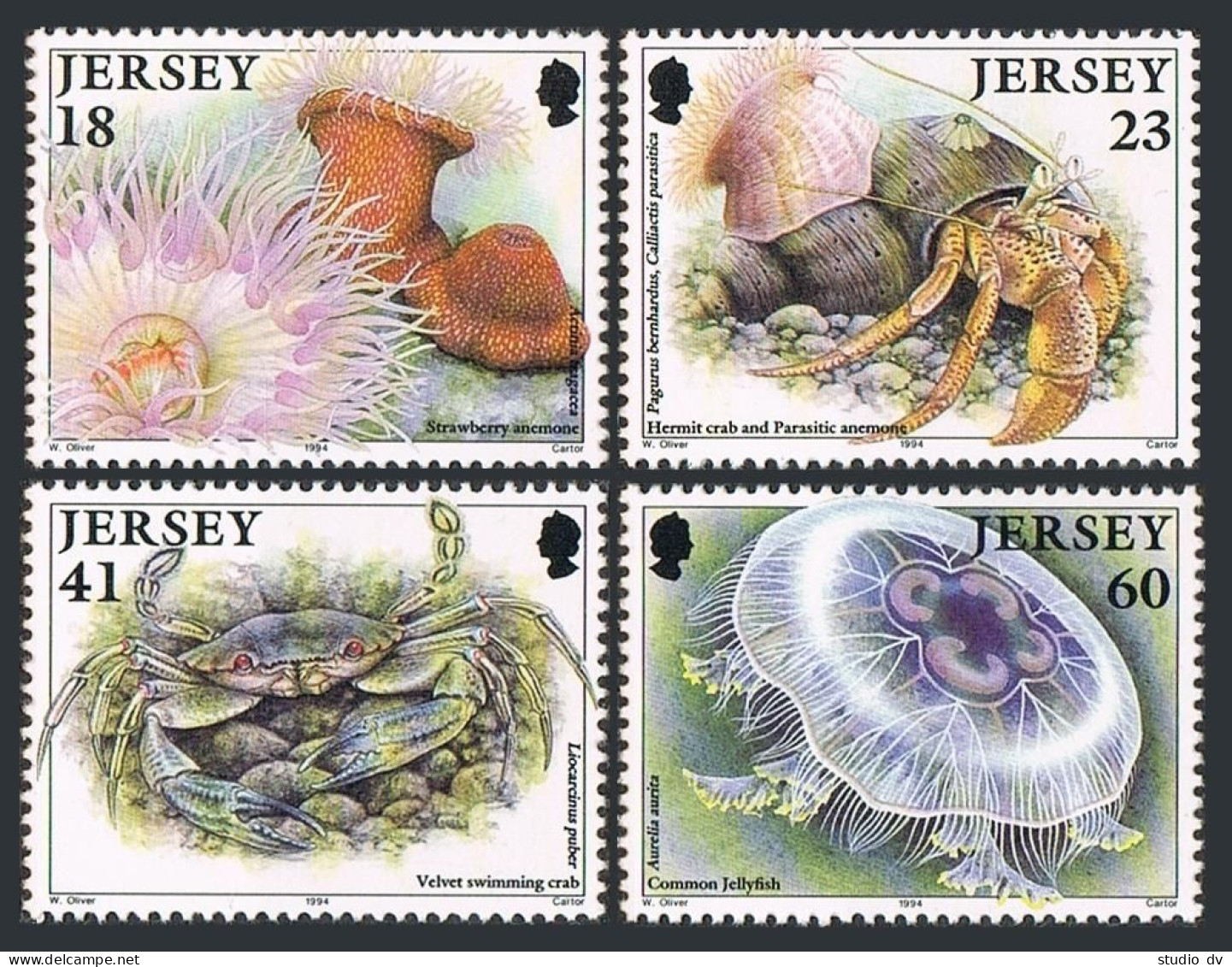 Jersey 681-684, MNH. Michel 685-688, Marine Life,1994. Strawberry Anemone,Crabs, - Jersey