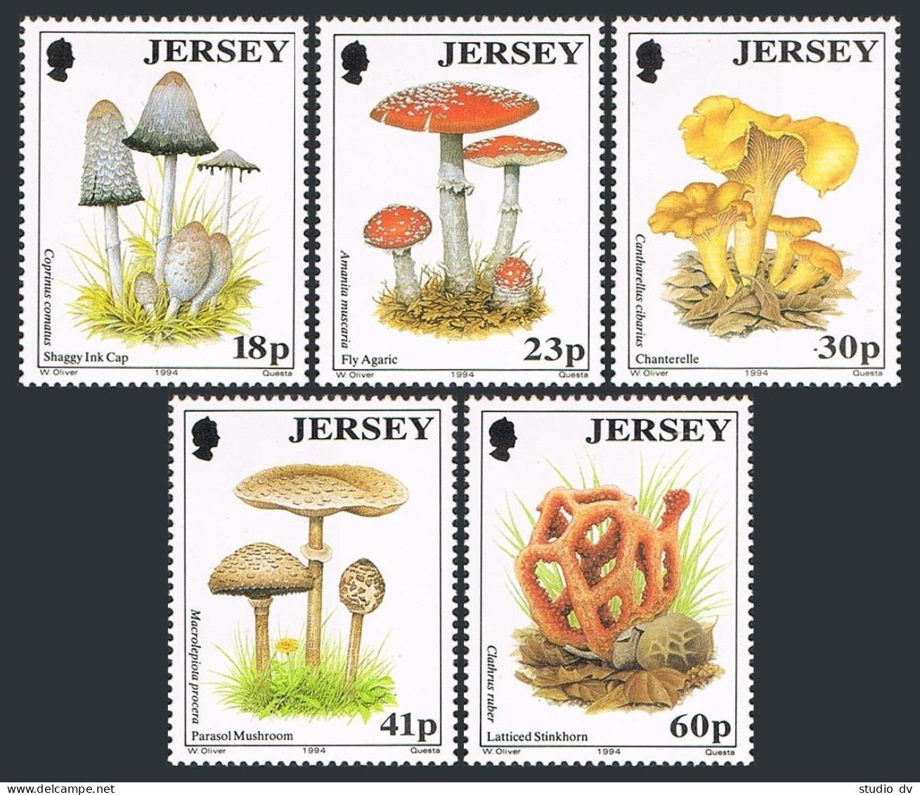 Jersey 655-659, MNH. Michel 639-643. Mushrooms 1994. - Jersey