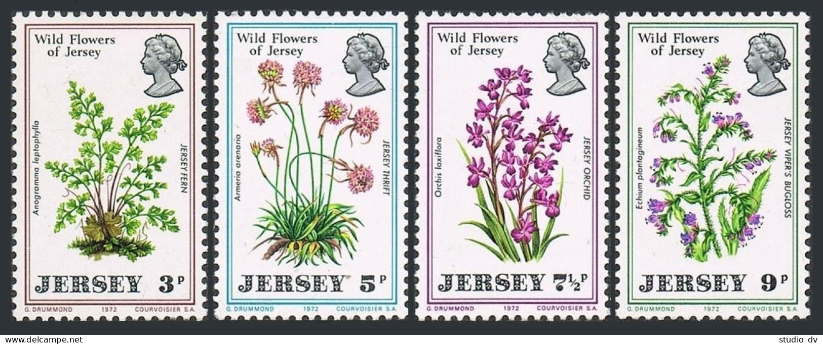 Jersey 61-64,hinged.Michel 61-64. Wild Flowers 1972.Fern,Thrift,Orchid,Vipers, - Jersey