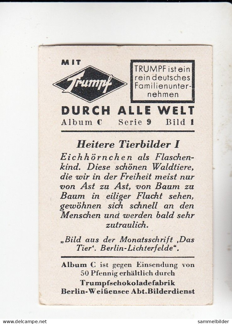 Mit Trumpf Durch Alle Welt Heitere Tierbilder I Eichhörnchen Als Flaschenkind      C Serie 9 # 1 Von 1934 - Other Brands