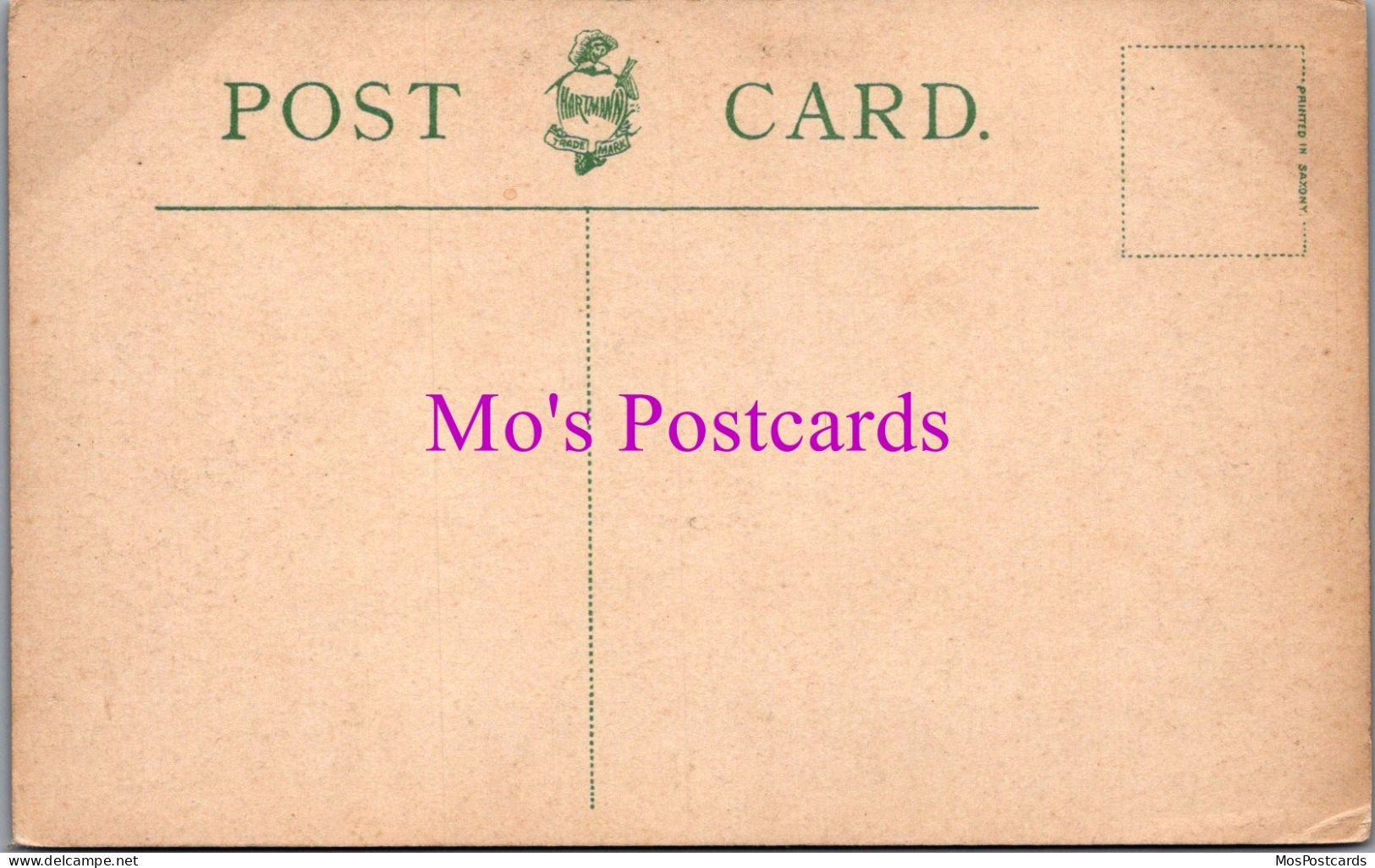 Lancashire Postcard - Princes Road, Liverpool  DZ178 - Liverpool