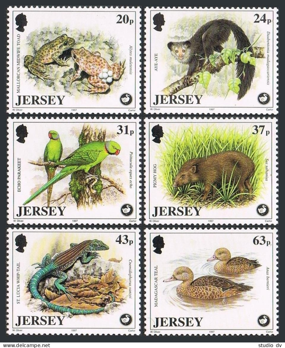 Jersey 806-811,MNH.Michel 799-804. Toad,Aye-Aye,Echo Parakeet,Pigmy Hog,Teal. - Jersey