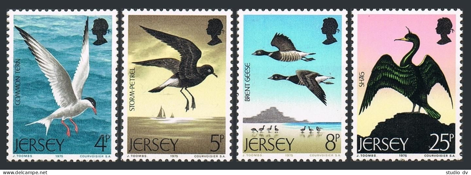 Jersey 129-132, MNH. Mi 123-126. Birds 1975.Common Tern,Storm-petrel,Geese,Shag. - Jersey