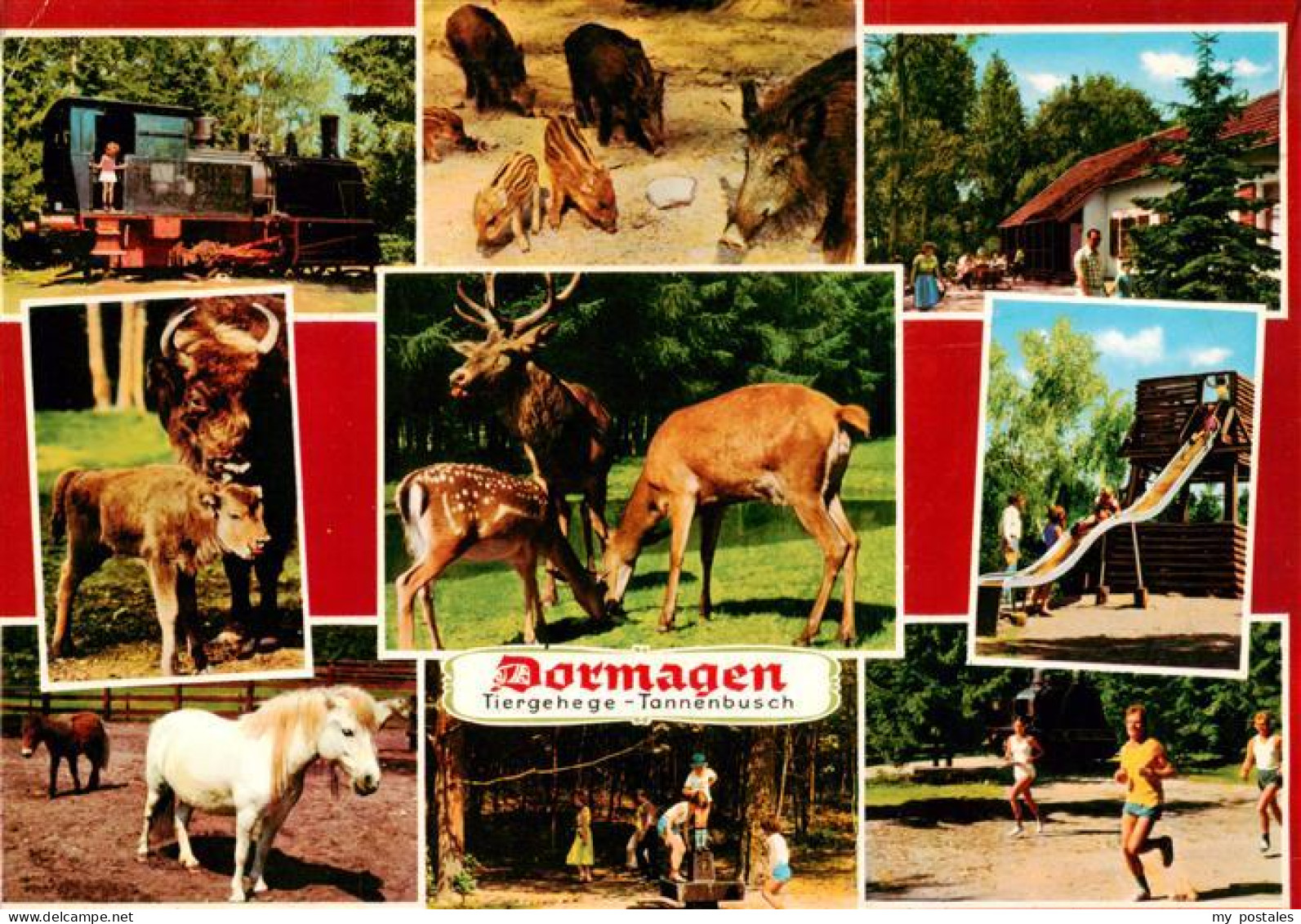 73927256 Dormagen Tiergehege Tannenbusch Teilansichten - Dormagen