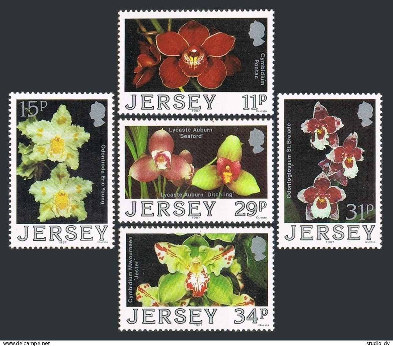 Jersey 442-446, MNH. Mi 425-429. Flowers 1988. Hybrids, Eric Young Orchid Found. - Jersey