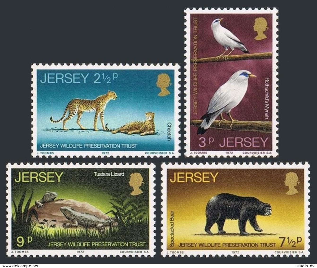 Jersey 65-68, MNH. Mi 65-68. Fauna 1972. Cheetahs, Rotschildsmynahs,Bear, Lizard - Jersey