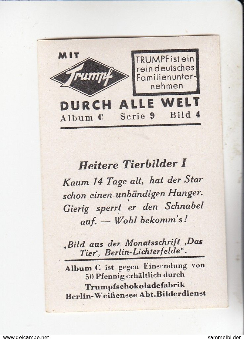 Mit Trumpf Durch Alle Welt Heitere Tierbilder I Kaum 14 Tage Alt Vogel Star   C Serie 9 # 4 Von 1934 - Andere Merken