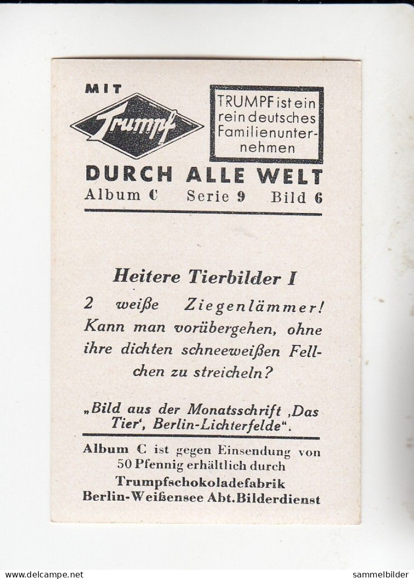 Mit Trumpf Durch Alle Welt Heitere Tierbilder I 2 Weiße Ziegenlämmer   C Serie 9 # 6 Von 1934 - Other Brands