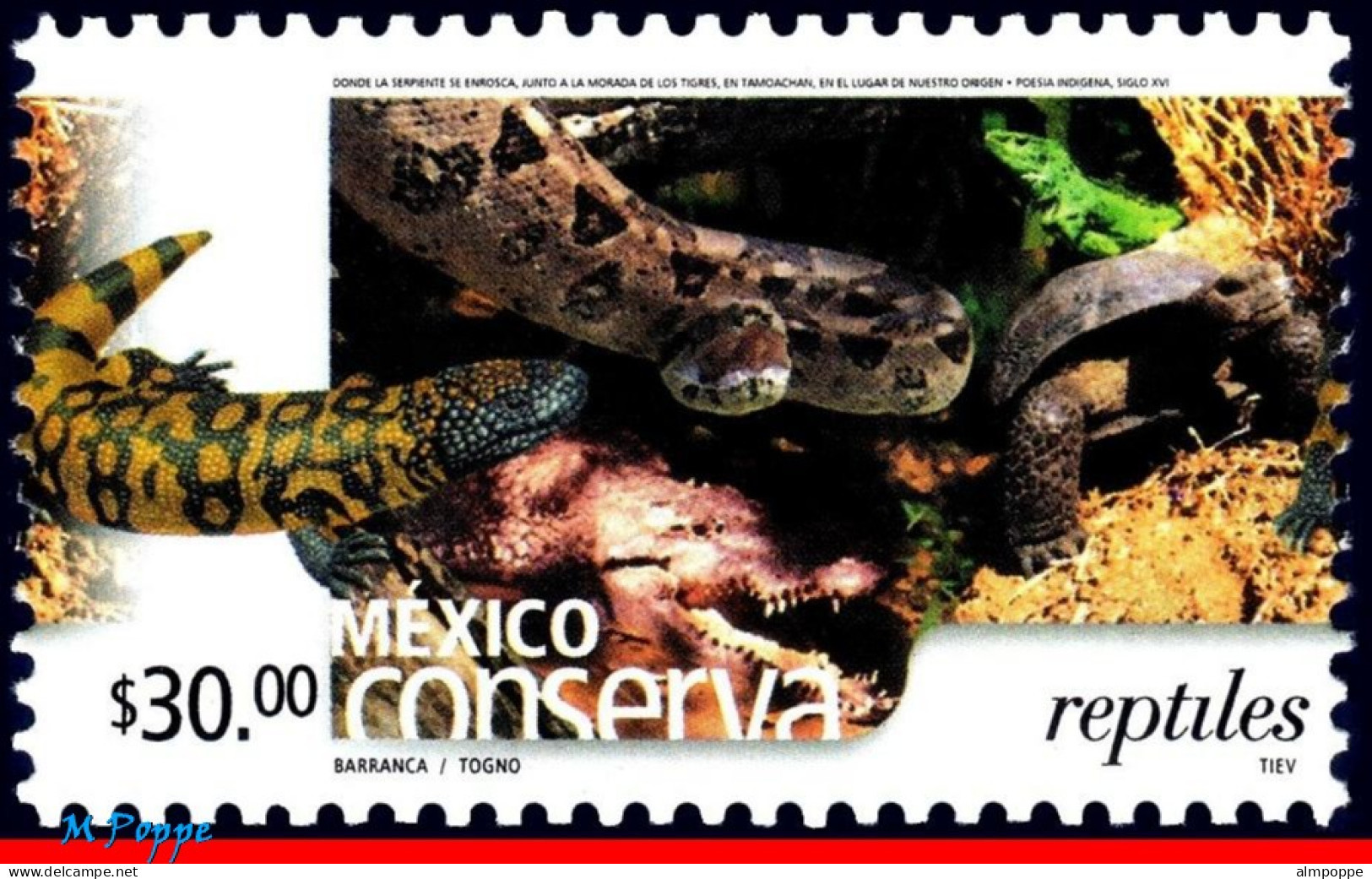 Ref. MX-2376 MEXICO 2004 - CONSERVATION - REPTILES,SNAKES, ALLIGATOR, TURTLE, (30.00P),MNH, ANIMALS, FAUNA 1V Sc# 2376 - México