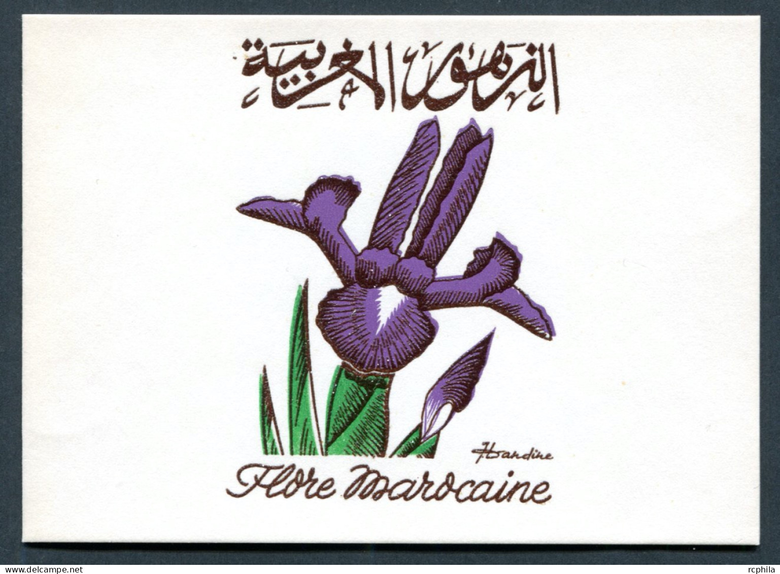 RC 27464 MAROC N° 480 FLORE MAROCAINE IRIS DE TANGER ENCART 1er JOUR TIRAGE 200 Ex SIGNÉ JEAN DANDINE - Marruecos (1956-...)