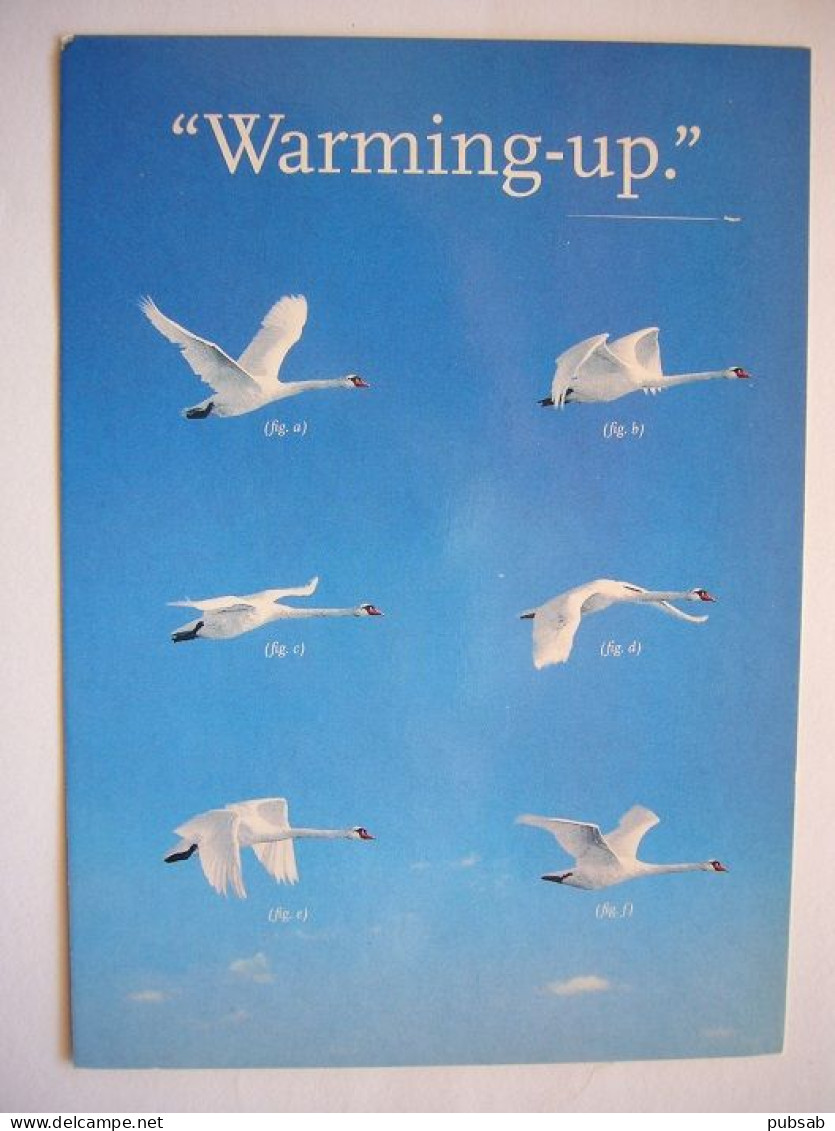 Avion / Airplane / KLM / "Warming-up" / Vlieg Met Mij Mee Naar De Zomer / Airline Issue - 1946-....: Modern Tijdperk