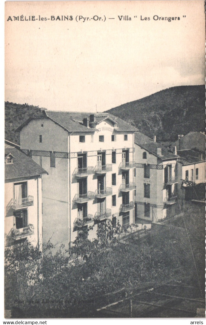 FR66 AMELIE LES BAINS - DESTOCKAGE - Lot De 12 CPA Editeur LIBRAIRIE DES PYRENEES - Bon état - Voir Scans Recto Verso - Amélie-les-Bains-Palalda