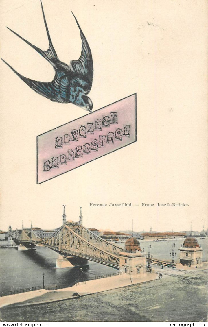Hungary Budapest Ferencz Jozsef Hid Swallow Bird Greetings 1906 - Hungría