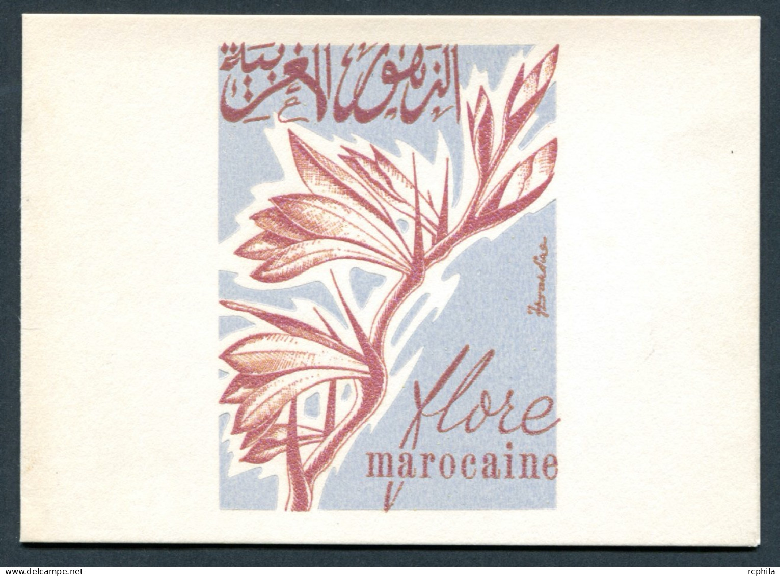 RC 27465 MAROC N° 481 FLORE MAROCAINE GLAÏEULS ENCART 1er JOUR TIRAGE 200 Ex SIGNÉ JEAN DANDINE - Marruecos (1956-...)