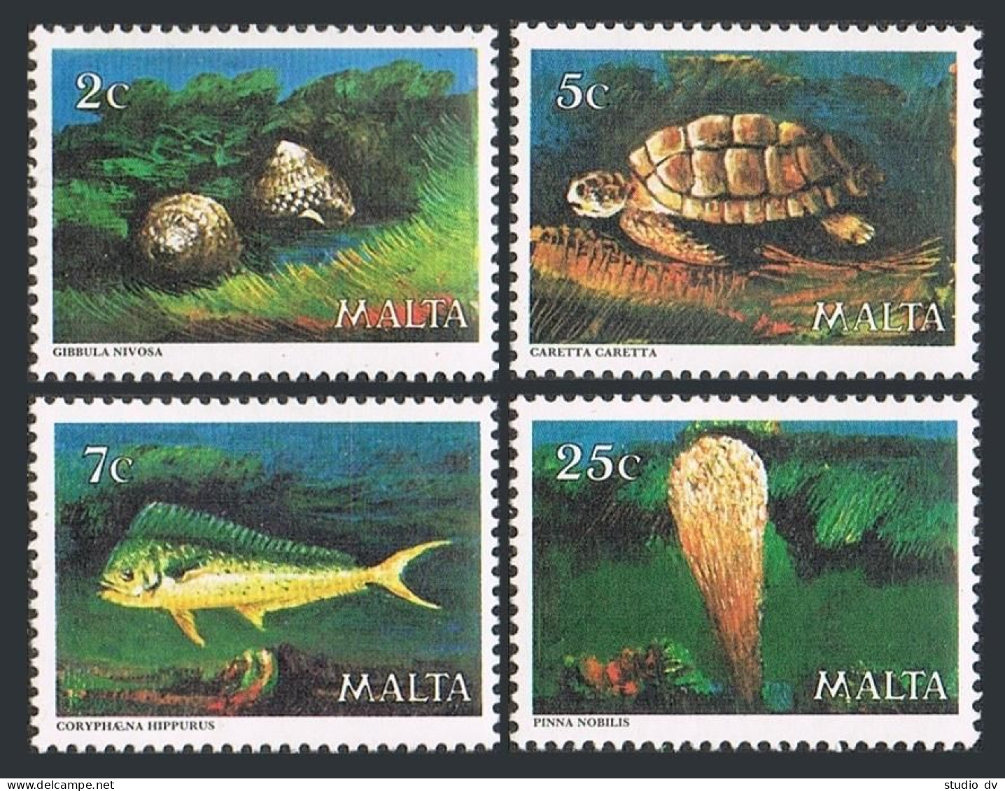Malta 563-566, MNH. Michel 599-602. Marine Life 1979. Fish, Shell, Turtle. - Malta