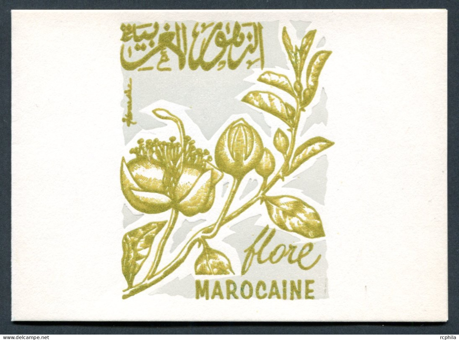 RC 27466 MAROC N° 482 FLORE MAROCAINE CAPRIER ENCART 1er JOUR TIRAGE 200 Ex SIGNÉ JEAN DANDINE - Marocco (1956-...)