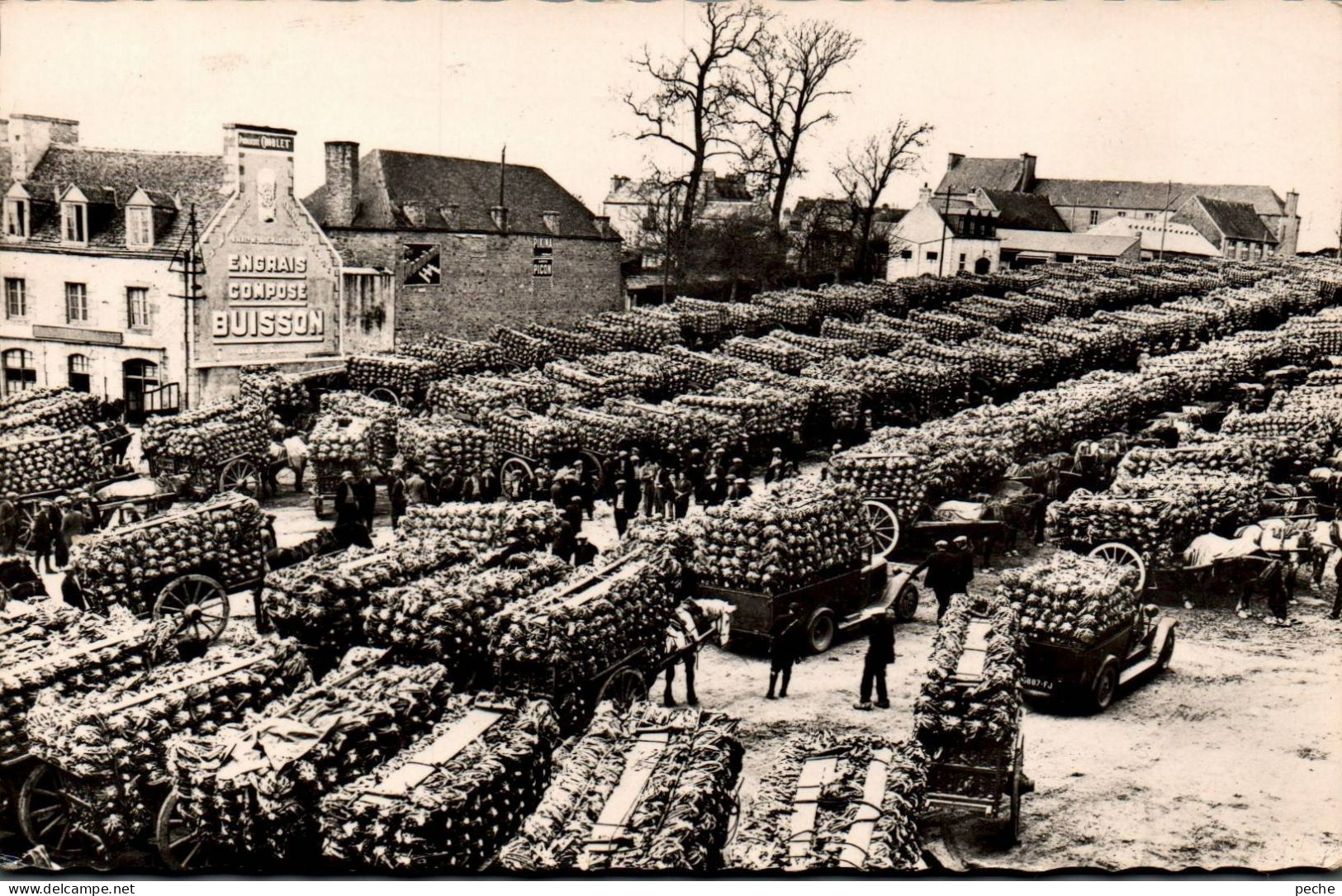 N°793 W -cpsm Saint Pol De Leon -le Marché Aux Choux Fleurs- - Marktplaatsen