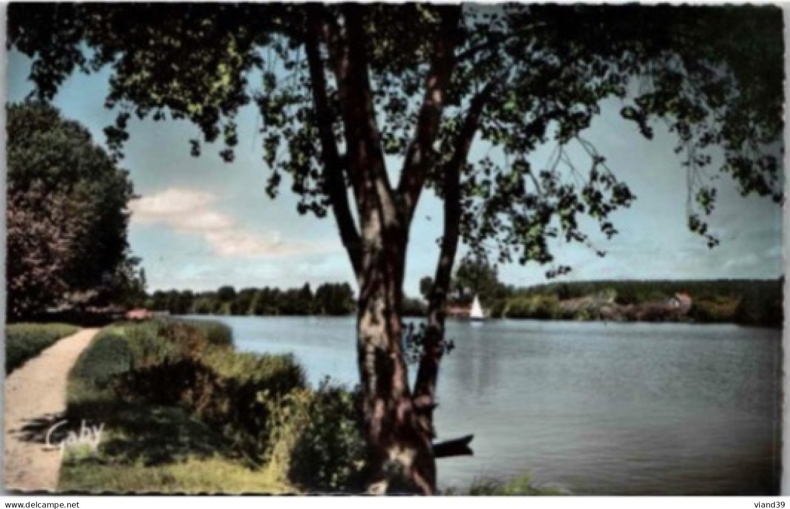 SAINT AVERTIN. -  Les Bords Du Cher Près De La Plage      Non écrite. - Saint-Avertin