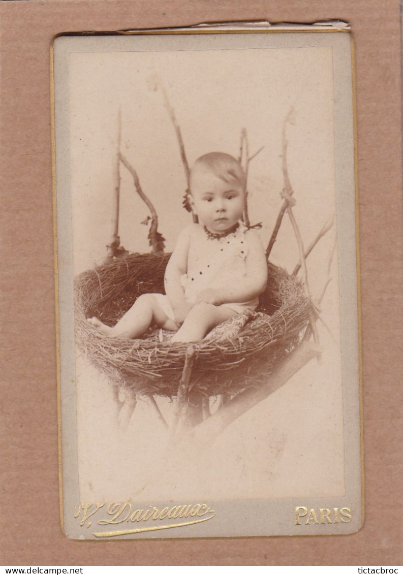 Ancienne Photographie CDV XIXe V. Daireaux Rue Bailleul Paris Enfant Bébé Dans Nid De Cigogne - Alte (vor 1900)