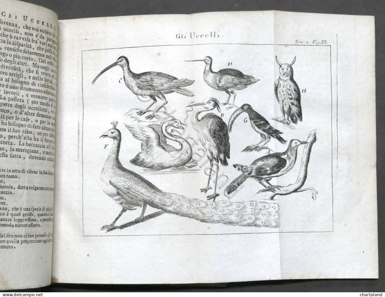 Lo Spettacolo Della Natura Esposto In Varj Dialoghi - Tomo II - Ed. 1752 - Non Classés