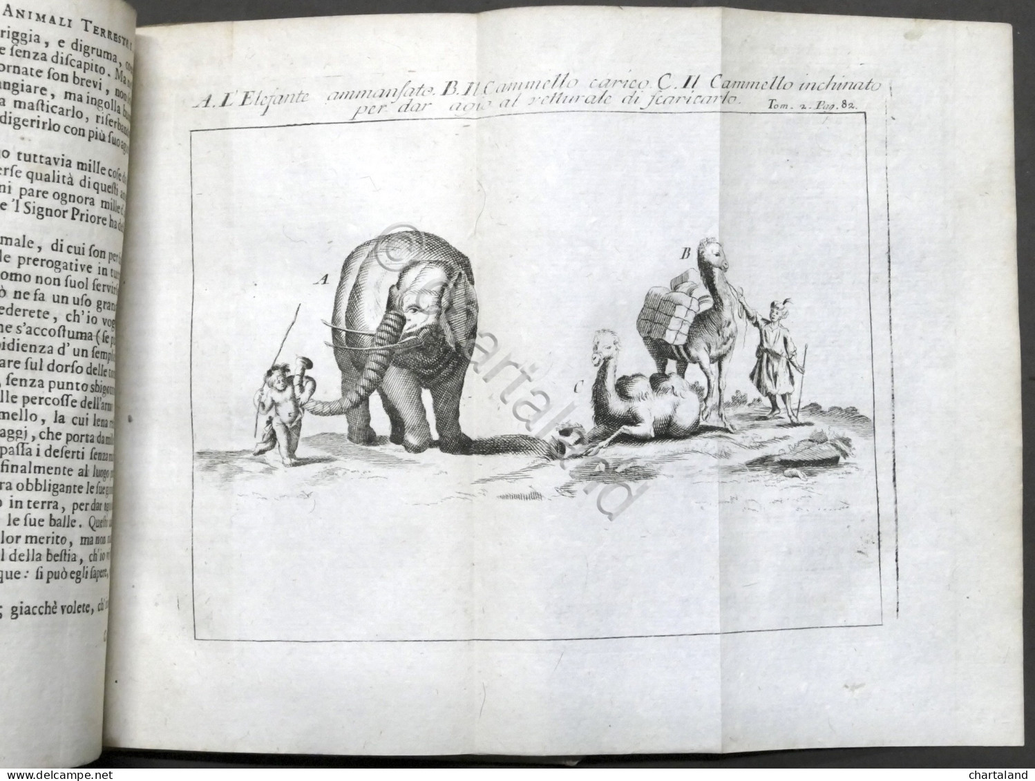 Lo Spettacolo Della Natura Esposto In Varj Dialoghi - Tomo II - Ed. 1752 - Unclassified