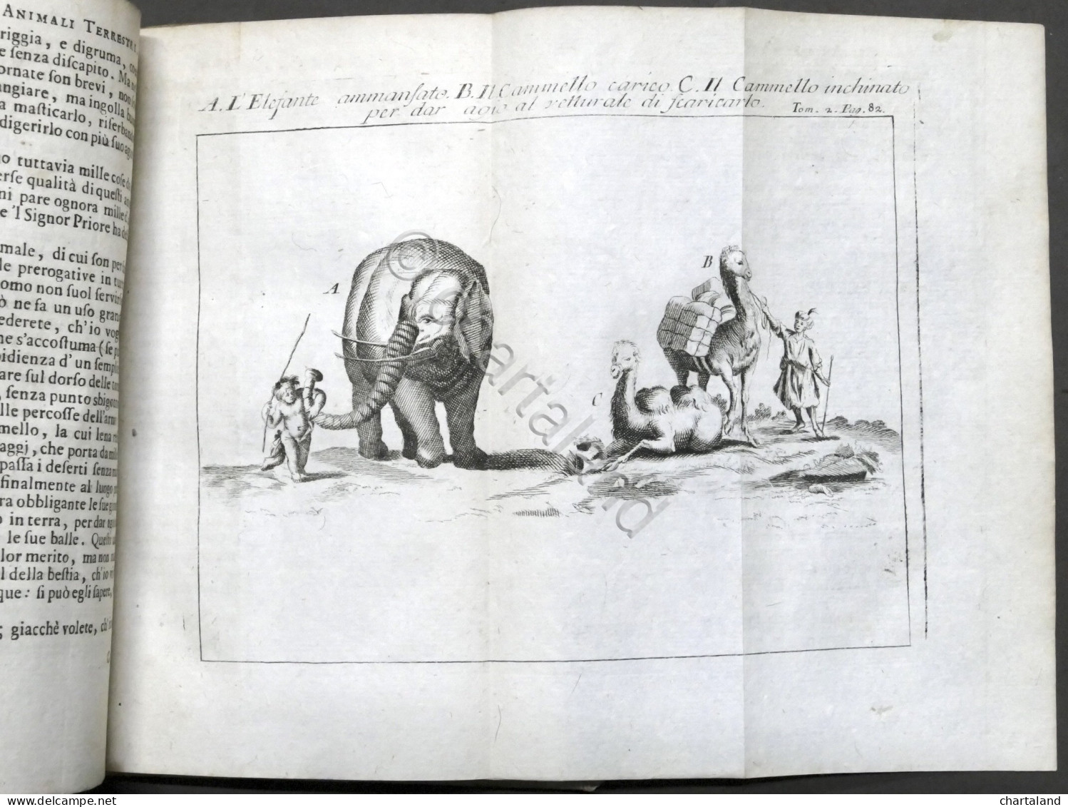 Lo Spettacolo Della Natura Esposto In Varj Dialoghi - Tomo II - Ed. 1752 - Zonder Classificatie
