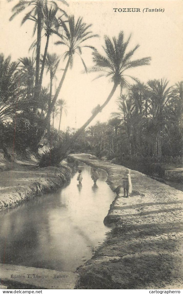 Tunisia Tozeur - Tunisie