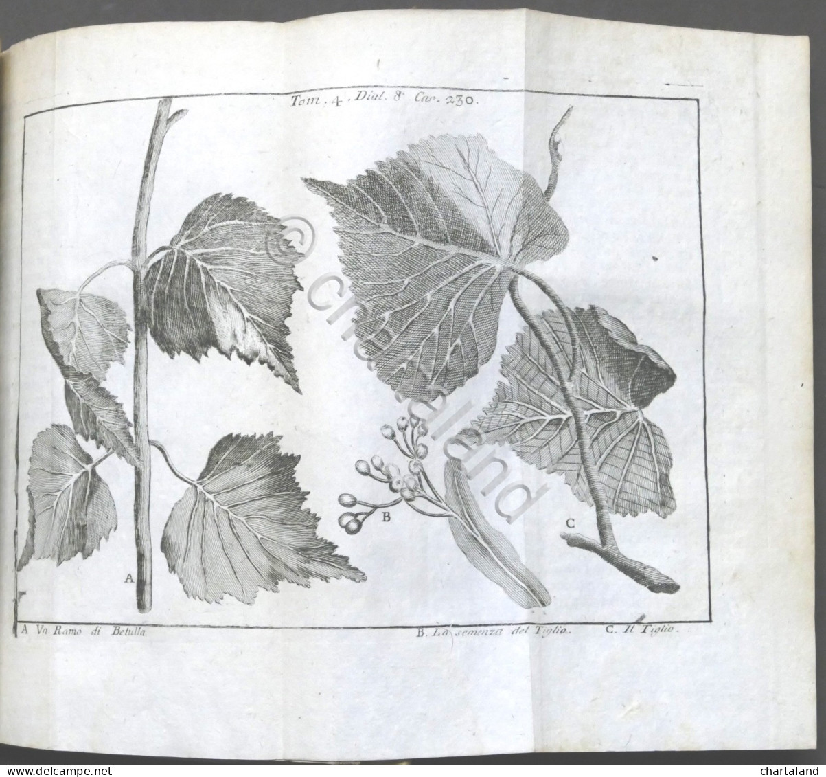 Lo Spettacolo Della Natura Esposto In Varj Dialoghi - Tomo IV - Ed. 1752 - Unclassified