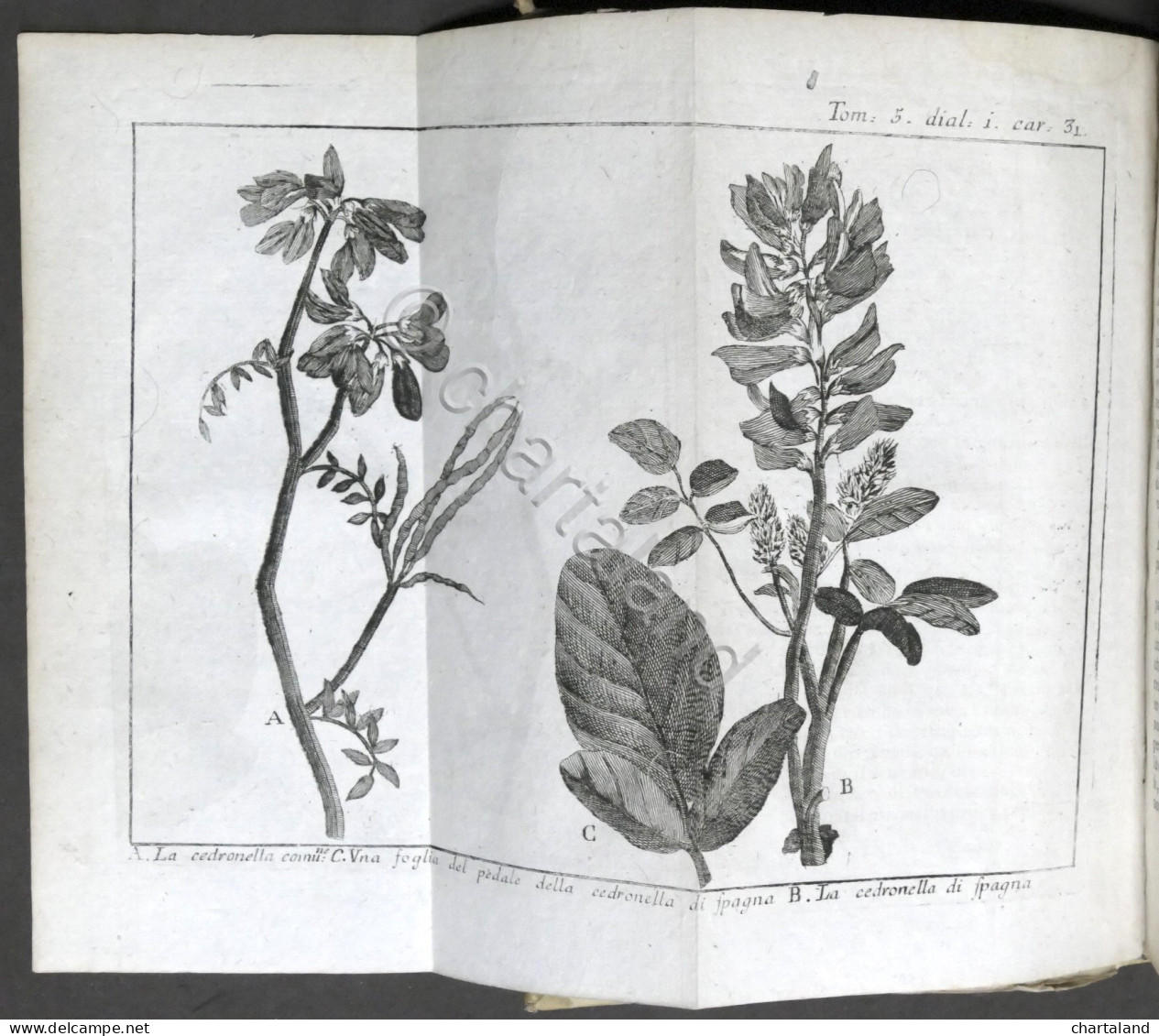 Lo Spettacolo Della Natura Esposto In Varj Dialoghi - Tomo V - Ed. 1752 - Non Classificati